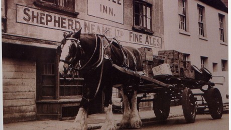 Shepperd Neame carro